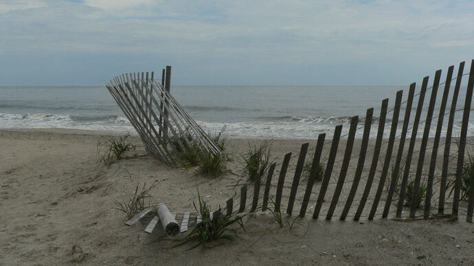 edisto-fence