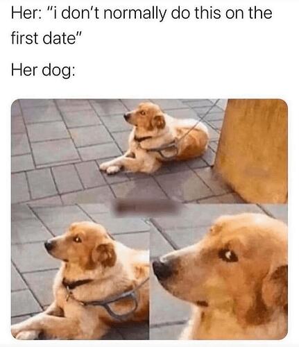 dogfirstdate