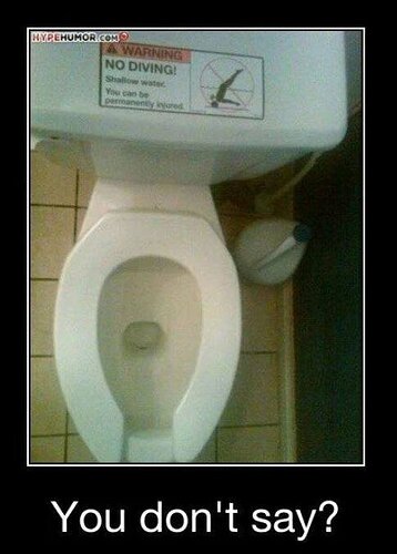 nodiving