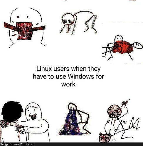 programmerhumor-io-linux-memes-programming-memes-9b506b25705e2f4-1855718162