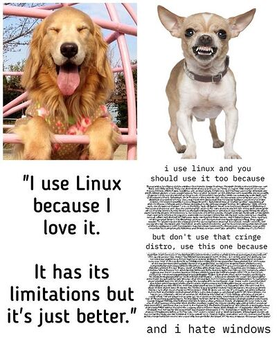 409618718_752335800258763_6239193688629935807_n