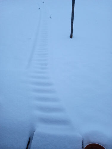 IMG_20251202_080200617