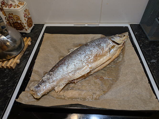 PXL_20260205_151147661