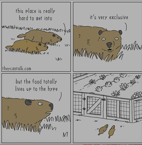 SmartSelect_20250703_095031_Samsung Internet