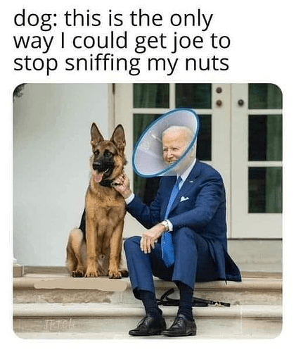 sniffingnuts