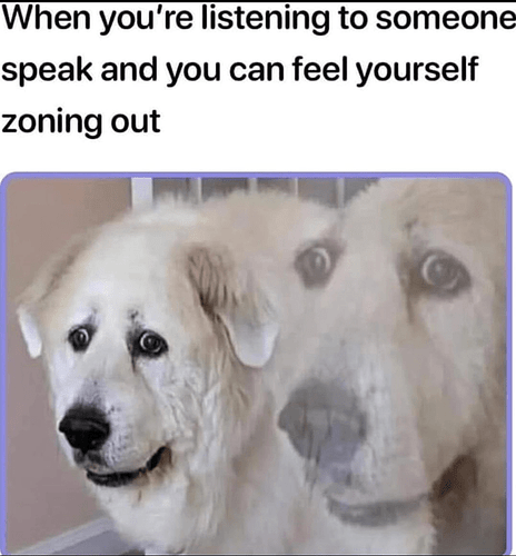 dog-listening-someone-speak-and-can-feel-yourself-zoning-out