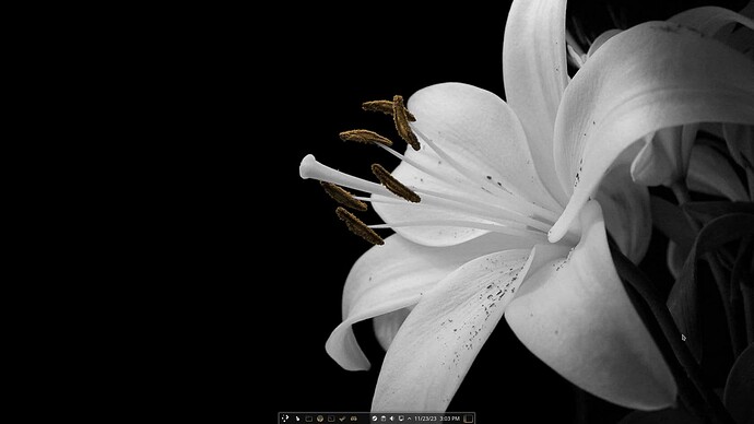 Screenshot_20231123_150311