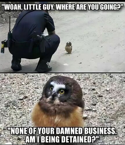 bafkreigxzdk3s7q2yrpazesdg6siozmagrtil2bx4tpzrqhsngze53kfma