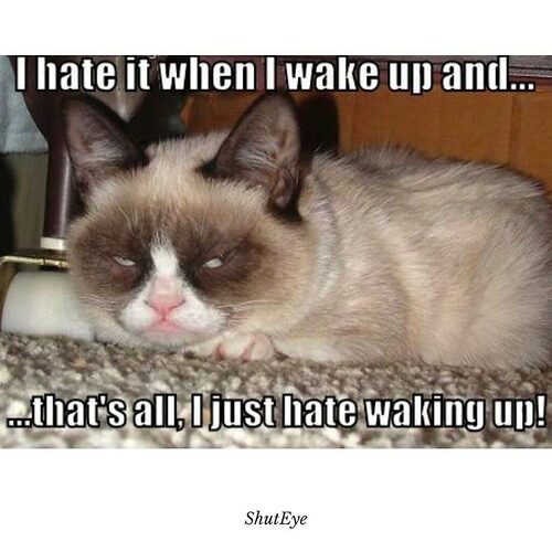 ShutEye-wake-up-memes24-1-1024x1024-144052780