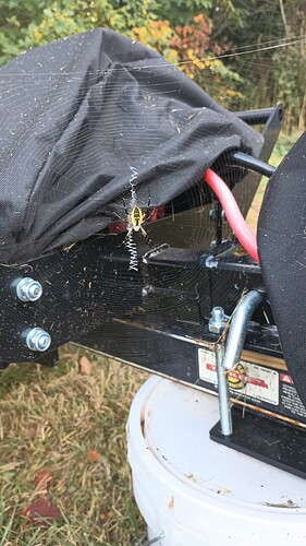 IMG_20240829_093601877_MP