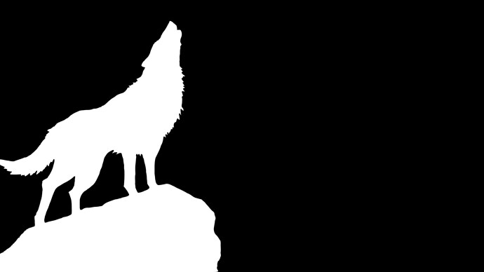 2560x1440-px-outline-wolf-1271705-wallhere.com