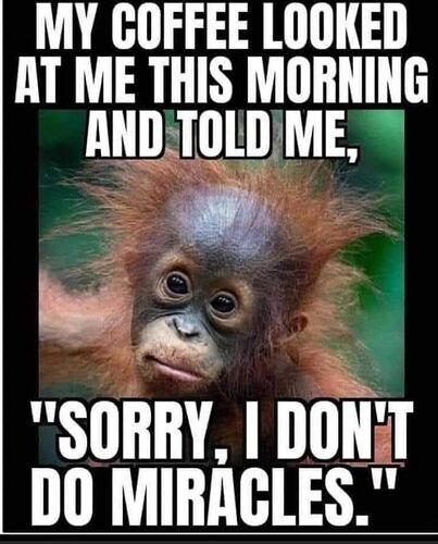 484036532_1078368117651944_7655491310497262453_n