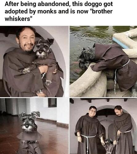brotherwhiskers