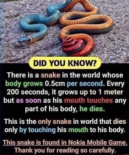 414895717_10233185176711492_1828743942714733416_n