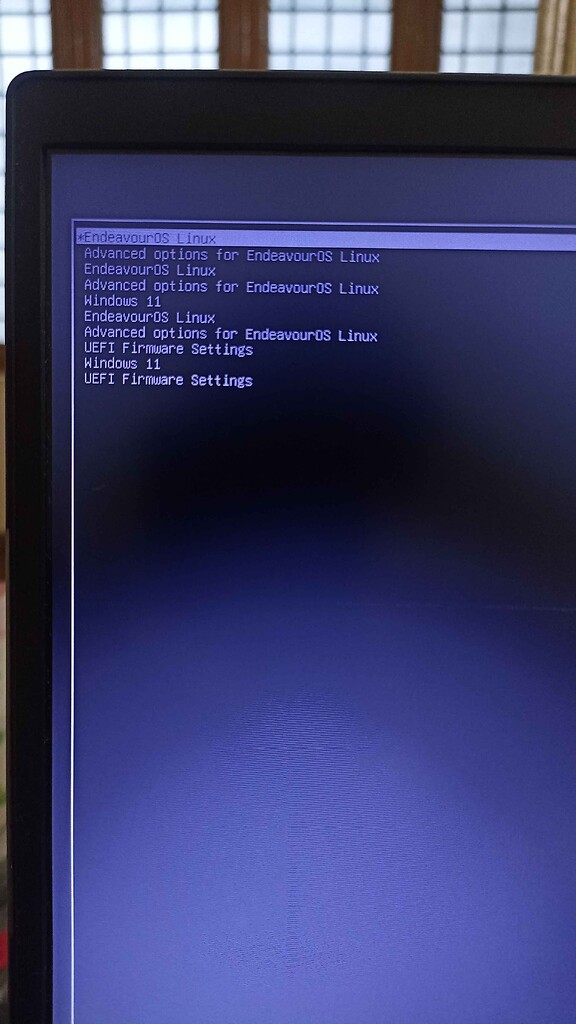 Multiple grub boot entries after updating to EndeavourOS Mercury