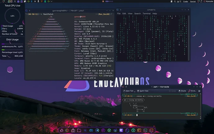 am-i-ricing-correctly-v0-559ebfykix5g1