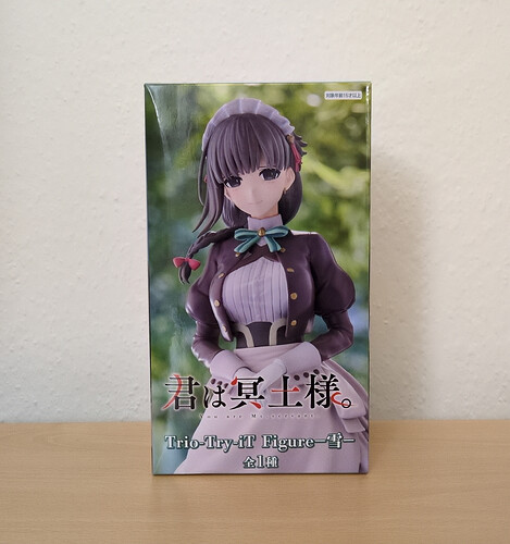 You are Ms Servant yuki 1