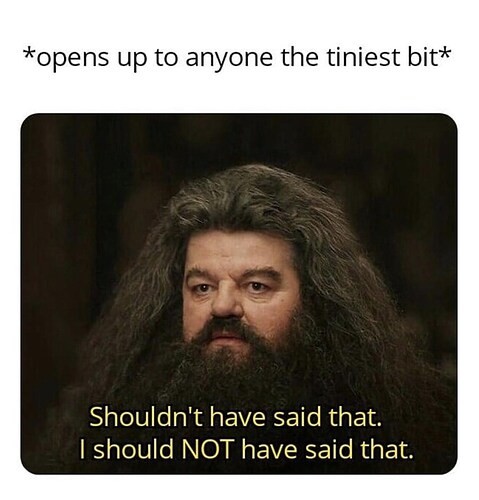 opens-up-anyone-tiniest-bit-shouldnt-have-said-should-not-have-said
