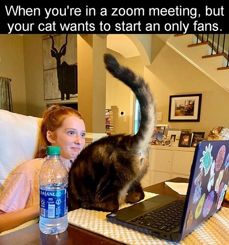 zoom-meeting-but-cat-wants-start-an-only-fans-dasanl