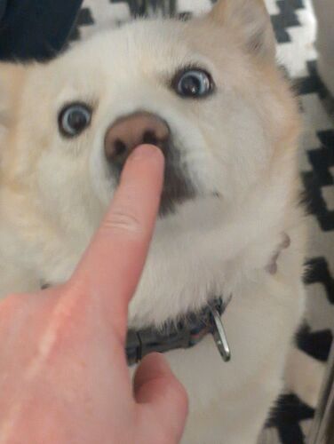 1000000651