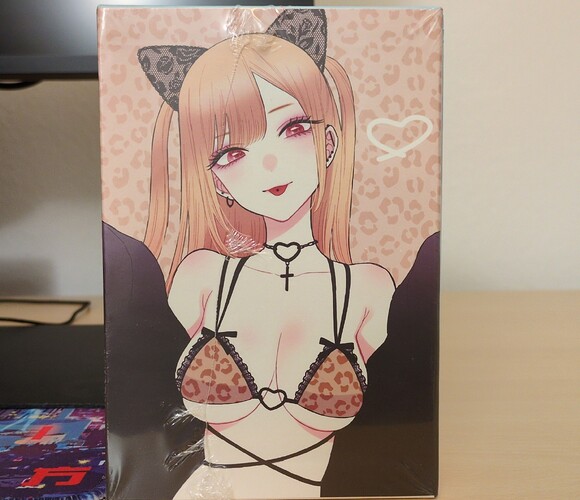 More than a doll (My Dress-up Darling) 5