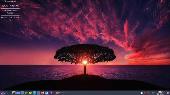 endeavourosScreenshot_2025-05-13_16-13-36