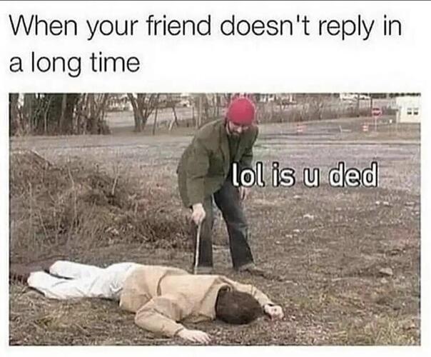 replyinlongtime