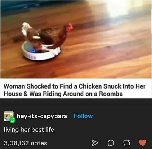 chickenroomba