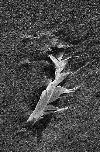 2006.08.02_DSCF3767_LR