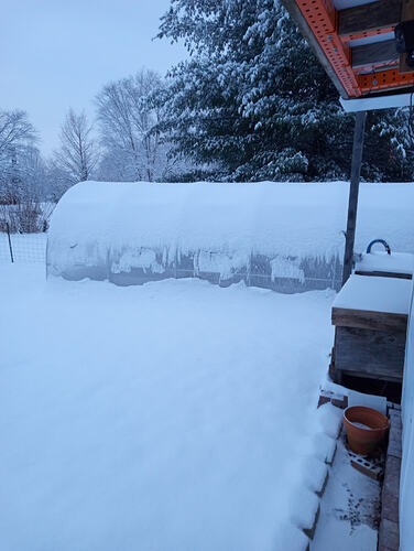 IMG_20251202_080213965