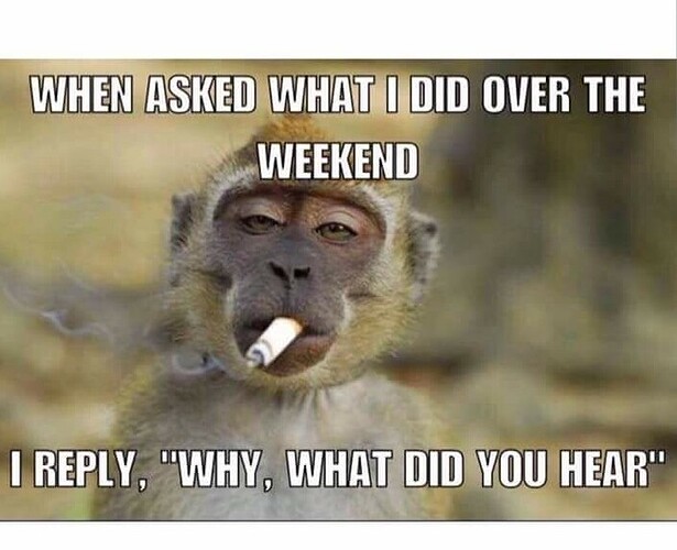 what i did over the weekend