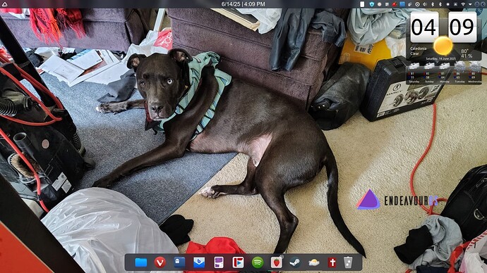 EndeavourOS-Strawberry-Rune-the-dog