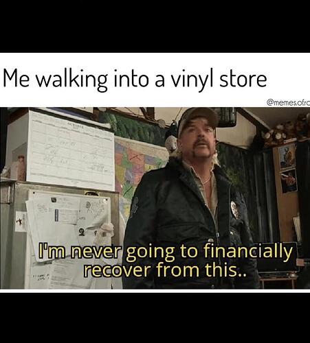 vynlestore