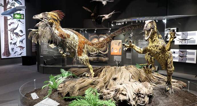 Museo-di-storia-naturale-specie-animali-foto-di-pilot_micha-via-flickr