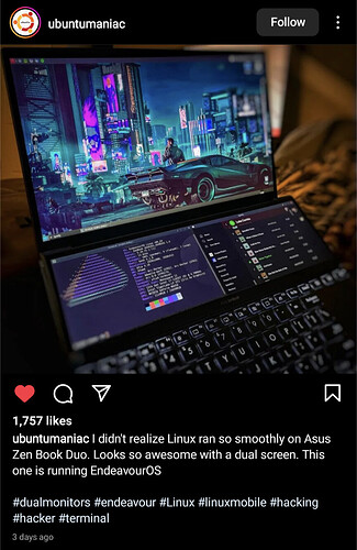EndeavourOS-Asus Duo