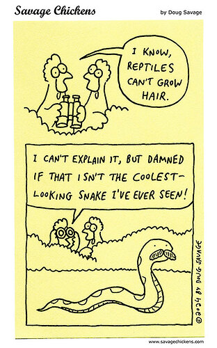 chickensnakemystery