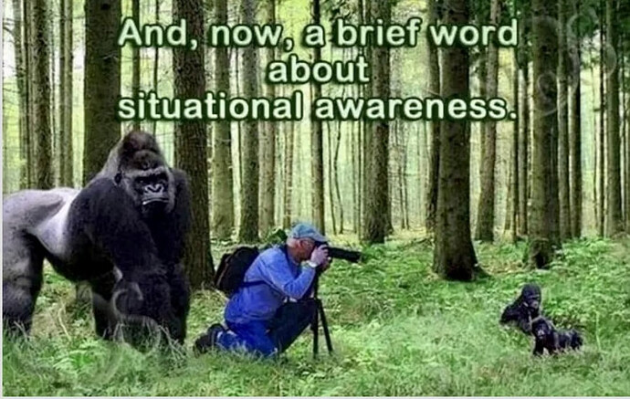 situationalawareness