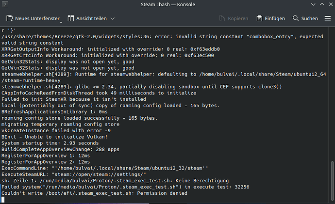 Steam Terminal