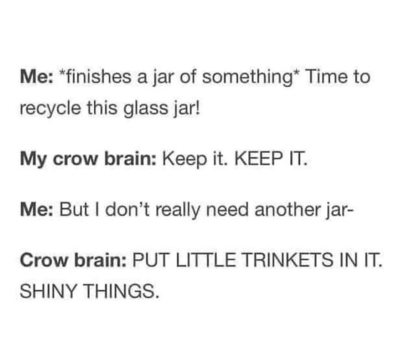 crow-brain-keep-keep-but-dont-really-need-another-jar-crow-brain-put-little-trinkets-shiny-things