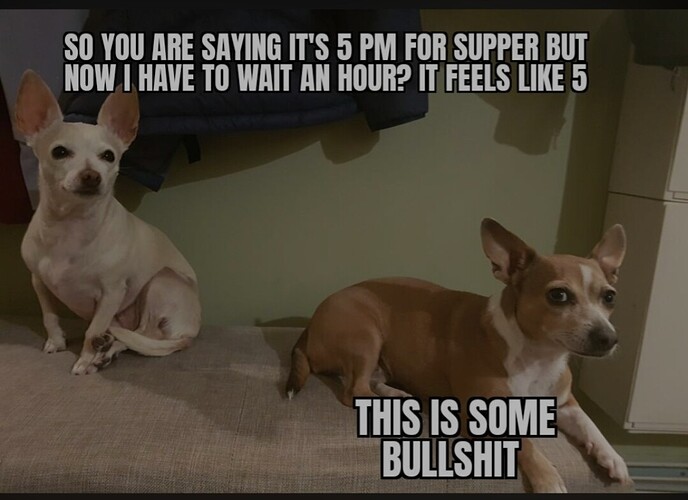 SmartSelect_20241103_190350_Samsung Internet