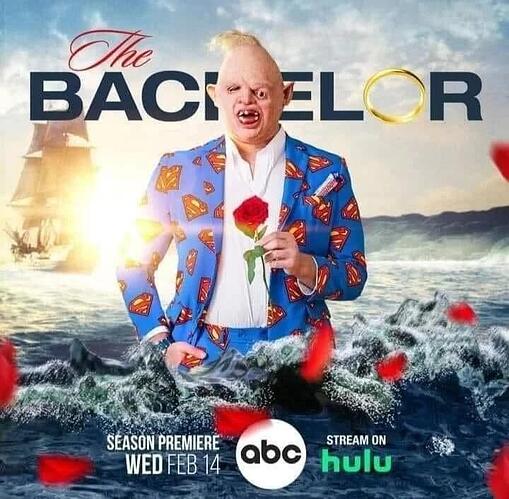thebachelor