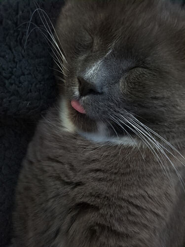 IMG_20251012_171433_656