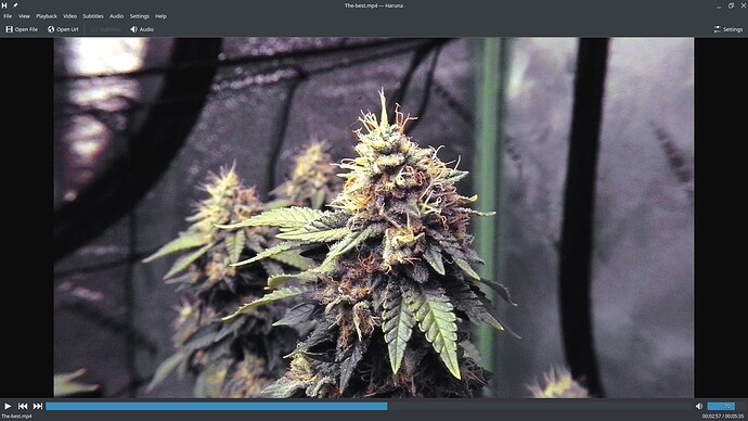 screenshot1