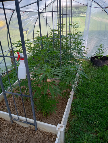 IMG_20260702_094449714_HDR