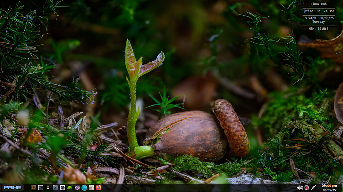 linuxhubScreenshot_2025-08-05_21-44-24