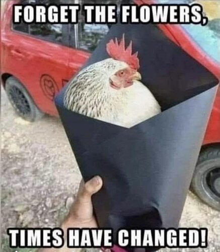 forgetflowers