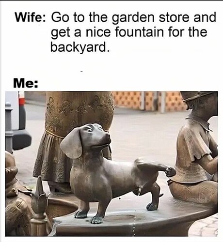 dogfountain