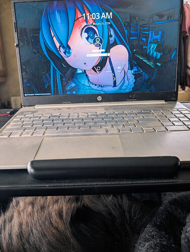 Lumii_20260109_112629712~3