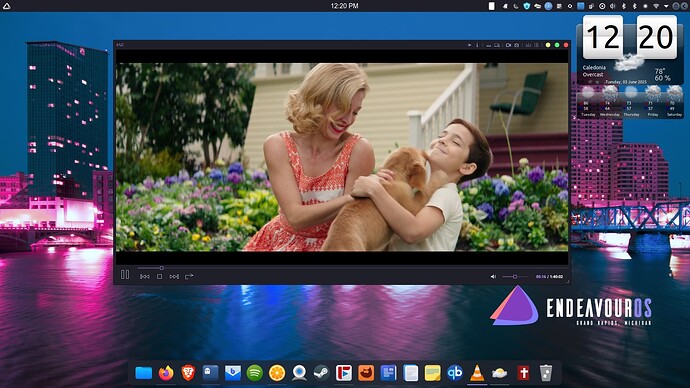 dracula-vlc-theme-a-dog's-purpose-movie-X