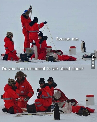 pinguoinVisit